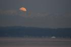 Seattle Moonshine in the Morning