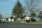 Homes in the neighborhood