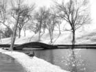 Government Springs Park in Enid, Oklahoma, after a beautiful January snow.