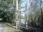 Sherwood Forest - Lake