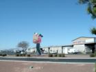 Goodyear Market, Goodyear, Arizona
