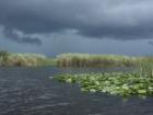 Everglades with angry skies