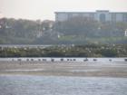 Wider View of Sea Bird Island