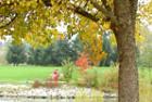Beaverton Common Wealth Park