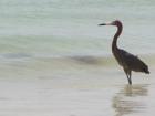 Lovers Key National Park