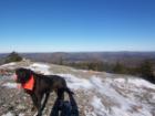 Dog hiking!