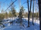Roverfront Land for sale with views
      www.mikemorgenstern.com