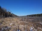 Commonly owned marshland along with homestead