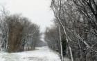 Frisco Snow Day in early Feb 2007