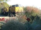 All Aboard (one of the highlights of the downtown historic district is the working trains). 