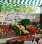 Downtown Kirkwood MO Farmer's Market - visit http://websterkirkwood.com