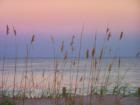 Wrightsville Sunset Photo by Ginger Sala