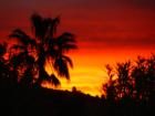 Early February morning in Carlsbad