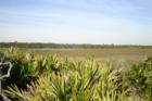 Sage Beach South Ponte Vedra Beach