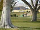 Government park in Boulder City.