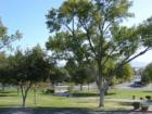 Government Park in Boulder City, Nevada.
