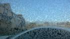Holtsville, NY: The first frost of the winter season