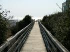 Ocean Oaks Boardwalk