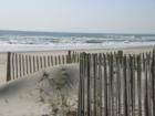Dune fencing to protect the Ocean Oaks sand dunes