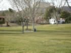 The Government Park in Boulder City Nevada.