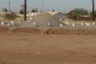 Driving around Gilbert today, I spotted this pile of dirt with the beautiful white cranes hanging out.  It was so amazing!