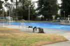 Pool at Meyer Park in Glenmoor