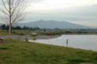 Quarry Lakes with Mission Peak in the background
