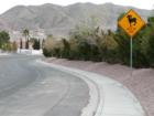 A street sign outside the entrance to Regatta Pointe in Boulder City, Nevada advises drivers to watch out for bighorn sheep.