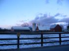 Farm in Red Hook