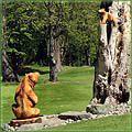 The Bears at High Cedars golf Course