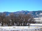 Views of the Rocky Mountains to the SW, from Woodmoor.