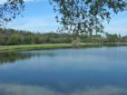 Westchase