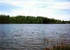 Russell Lake Is Roughly 38 Acres Large & Not Heavily "Camped"!