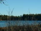 Mud Pond In Linneus.  There Are Several Lakes nd Ponds Named Mud Pond..And The Name Is Not Always Accurate!