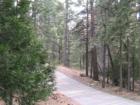 There is something peaceful about a mountain road - this one comes from Idyllwild, CA