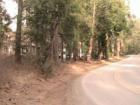 Just anothe beautiful mountain road - this one comes from Idyllwild, CA
