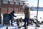 Feeding the ducks along the Mississippi River in Downtown Davenport!