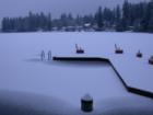 Long Lake - One of 45 named lakes in Thurston County experienced a rare freeze this winter. Winter snow changes the landscape when it falls on an ice encrusted lake