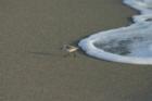 Just one step ahead in Juno Beach!