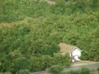 A small Home tucked into the citrus groves found in East Hemet, CA