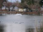 Reflection Lake in West Hemet CA is a great get-a-way - a place to rest and relax.