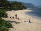 Waliking the dogs on the beach.  Don't forget the pooper scooper