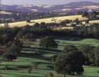 The Rolling Hills of El Dorado Hills, CA