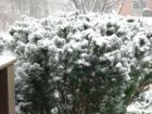 Beautiful Baltimore Snow 2.13.07
      HomeRome.com