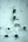 Nature is abound in the Hoover Resevoir/ Galena area. Deer tracks mark the trail I took back into the woods.
