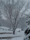 Intersection of Campfire Drive and Rockfence Place in Northwest Lawrence after snow on February 12-13th.