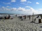 When thinking of Charleston, you have to remember our WORLD CLASS BEACHES