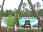 Live Oaks Community in New Tampa