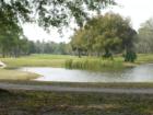 Pebble Creek Golf Community in New Tampa