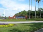 Bird Flying near Tampa Palms entrance sign